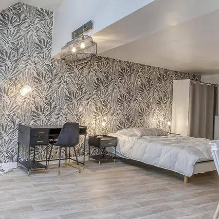 Colivi Spacieuse 45m2 Gare * Annemasse
